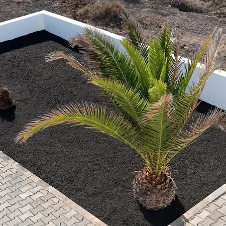 Delmar - Gallo Апартаменты Чарко-дель-Пало