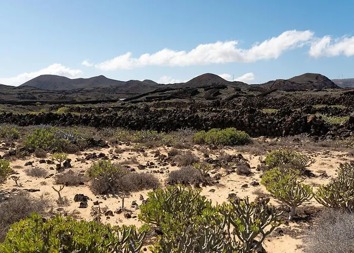 Daire Delmar - Gallo *