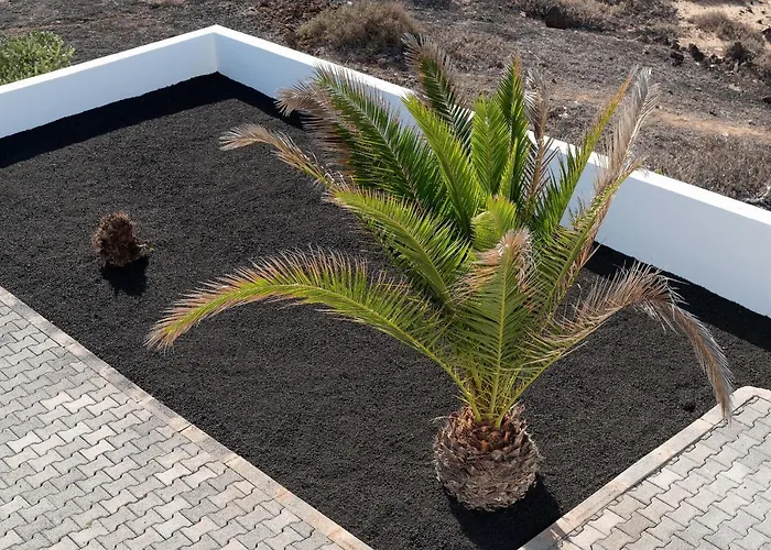 Delmar - Gallo Daire Charco del Palo